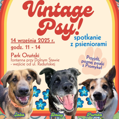 Link do opisu wydarzenia: VINTAGE PSY! 
