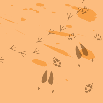 Link do opisu wydarzenia: na Tropie Natury | rodzinna wyprawa przyrodnicza