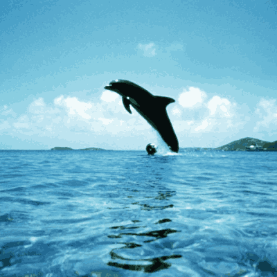 Link do opisu wydarzenia: Wielki błękit (wersja reżyserska)