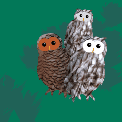 Link do opisu wydarzenia: Czy Sowy huczą? Sprawdź to w terenie!