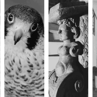 Link do opisu wydarzenia: Tajemnice kościoła św. Jana, czyli czego jeszcze nie wiecie? | XXX wykład Ocalone od zapomnienia