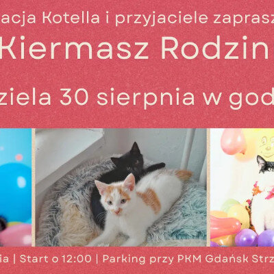 Link do opisu wydarzenia: Kiermasz Rodzinny Fundacji Kotella 