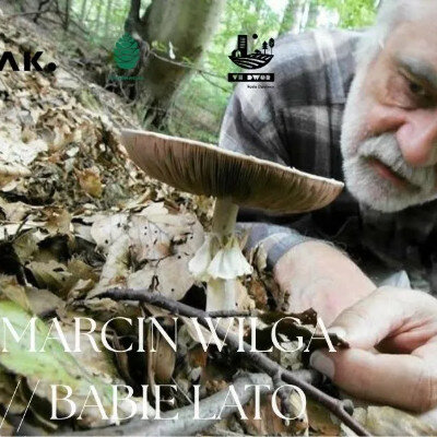 Link do opisu wydarzenia: Spacer z Marcin Wilgą 