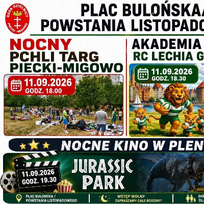Link do opisu wydarzenia: Nocne Kino w Plenerze & Pchli Targ 