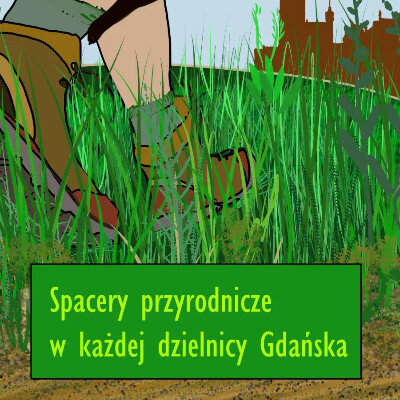 Link do opisu wydarzenia: Spacery przyrodnicze w każdej dzielnicy 