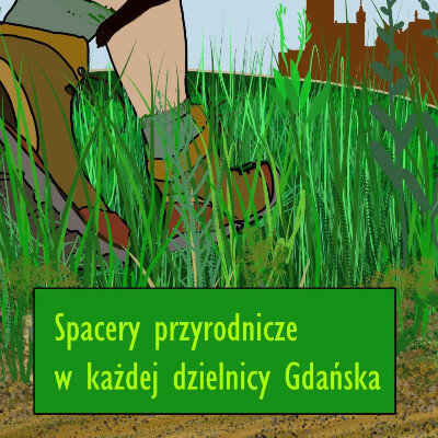 Link do opisu wydarzenia: Spacery przyrodnicze w każdej dzielnicy 